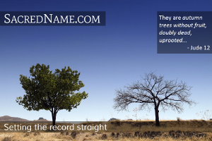 SACRED NAME based upon TWO TREES STANDING ALONE IN DESERT © weka | iStockPhoto.com